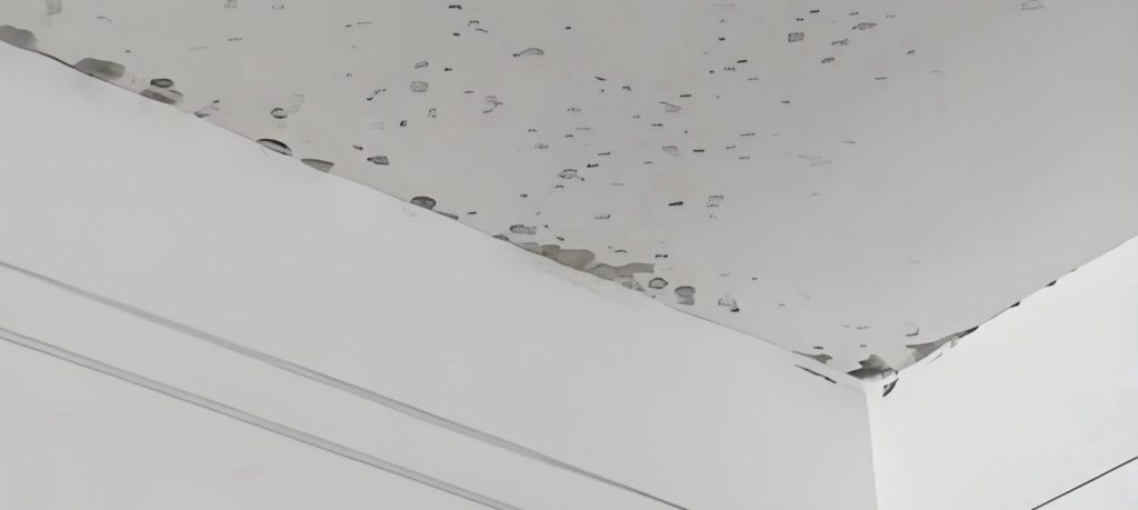 铱耐特抗菌防霉涂层应用场景展示