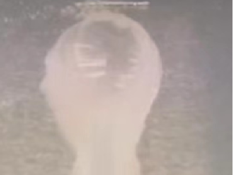 超疏水空白对照测试 超疏水空白对照测试:空白铝合金(-60℃)滴水测试,水滴结冰